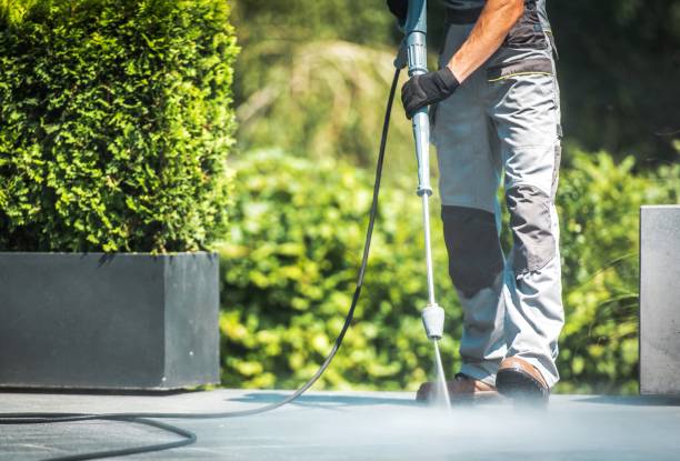 Best Concrete Surface Cleaning in Lester Prairie, MN