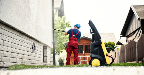 Best Roof Cleaning and Mildew Removal in Lester Prairie, MN